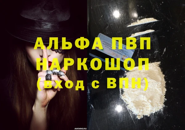 сатива Белокуриха