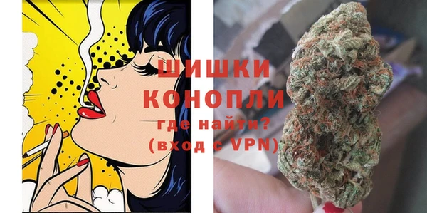 сатива Белокуриха