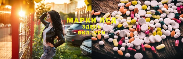 сатива Белокуриха